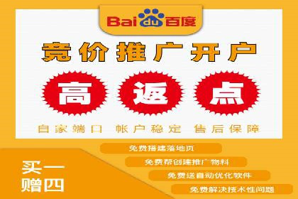 探索百度竞价代理的未来发展趋势与挑战